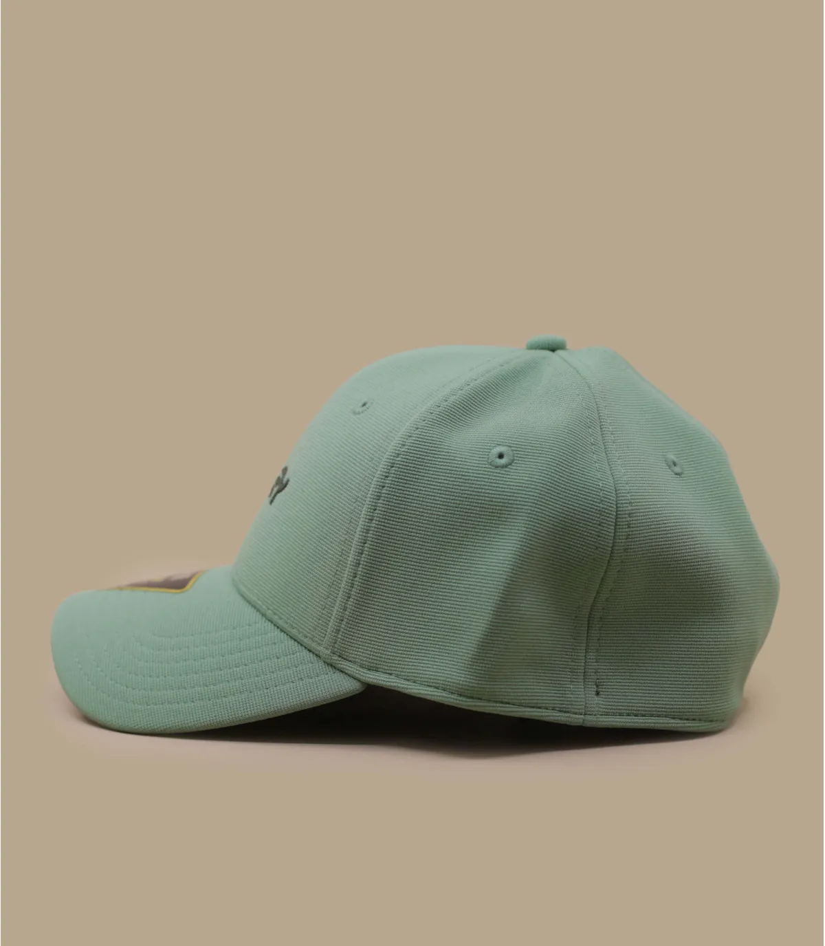Cappello da baseball verdeCappellini Stretch Metallic new jade     